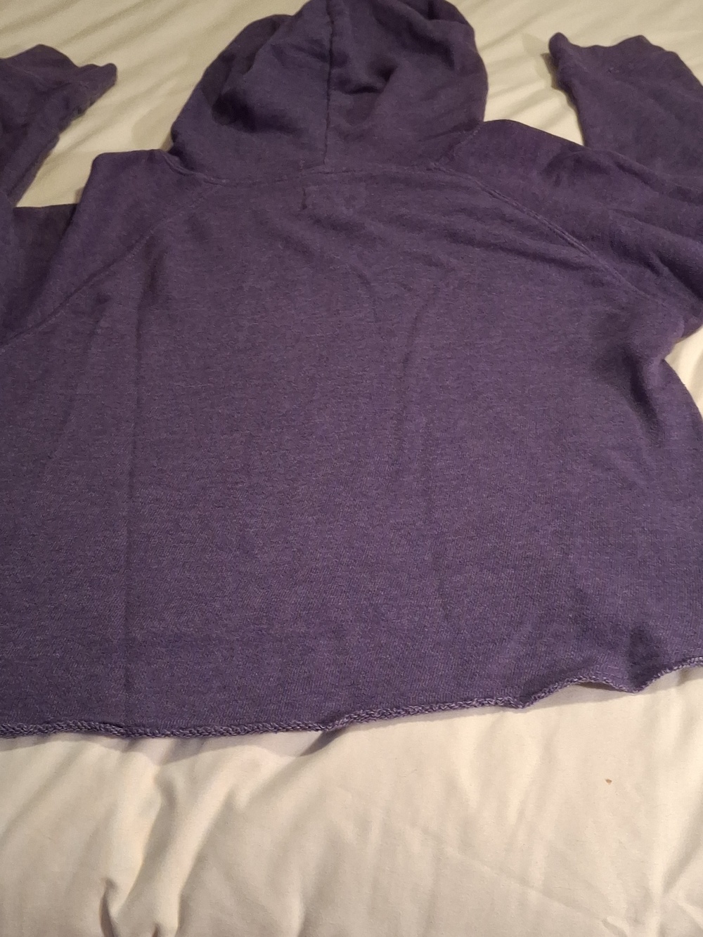 National Missisdippi River Museum Purple Hoodie. - Picture 4 of 5
